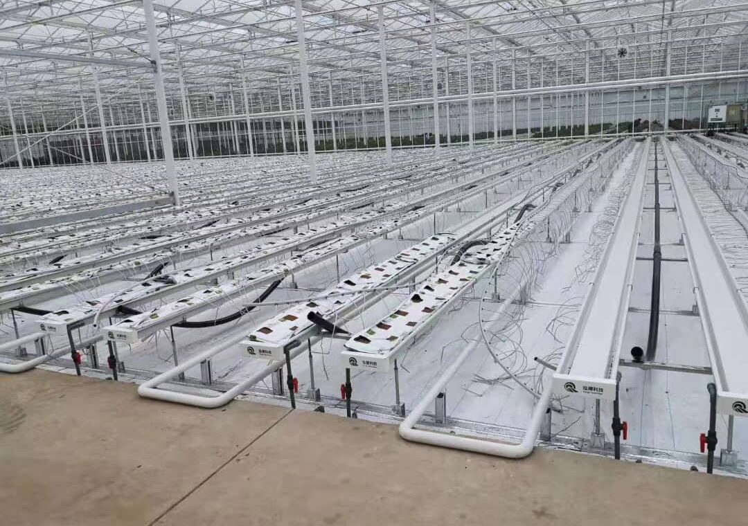 Grow Bags Hydroponiques : Innovation Agricole