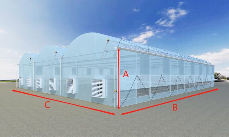 Serre Multi-Chapelle Hydroponique : Productivité Maximale