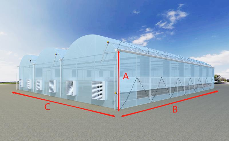 Hydroponic Multi-Cell Greenhouse: Maximum Productivity